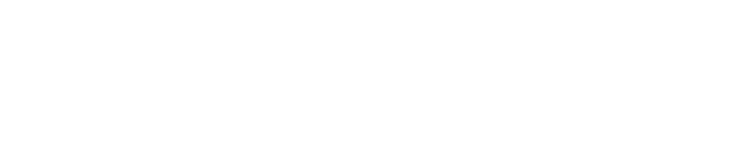 Worldline Insights